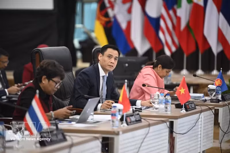El viceministro de Relaciones Exteriores de Vietnam y jefe de la delegación de Altos Funcionarios del país ante la Asean, Dang Hoang Giang. (Foto: VNA)