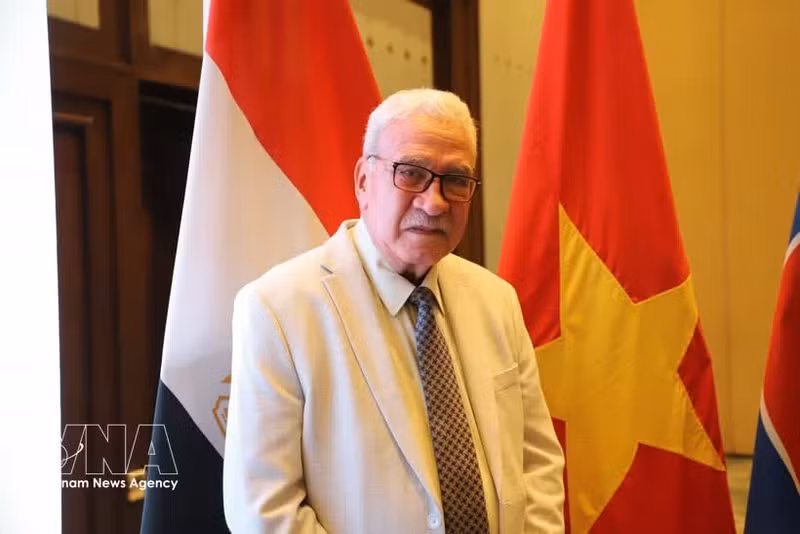 Salah Adly Abdelhafiz, secretario general del Partido Comunista Egipcio. (Foto: VNA)