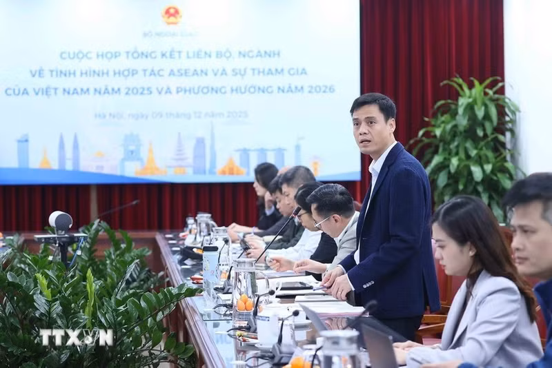 El vicecanciller Dang Hoang Giang habla en el evento. (Foto: VNA)