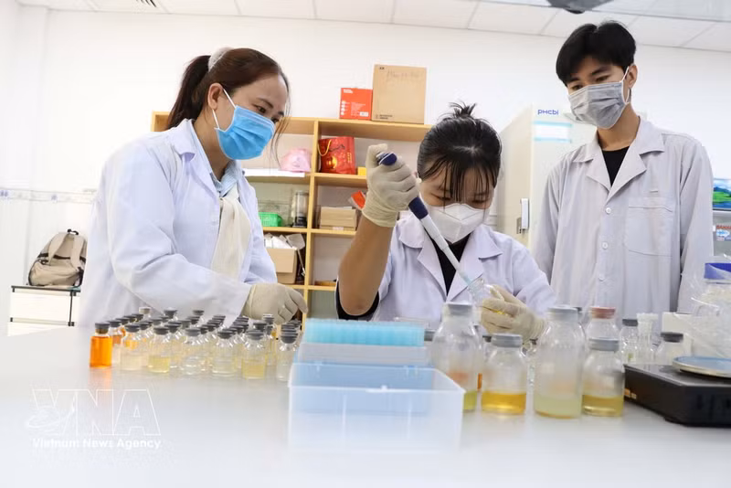 Estudiantes en un laboratorio en la Universidad de Tra Vinh. (Foto: VNA)