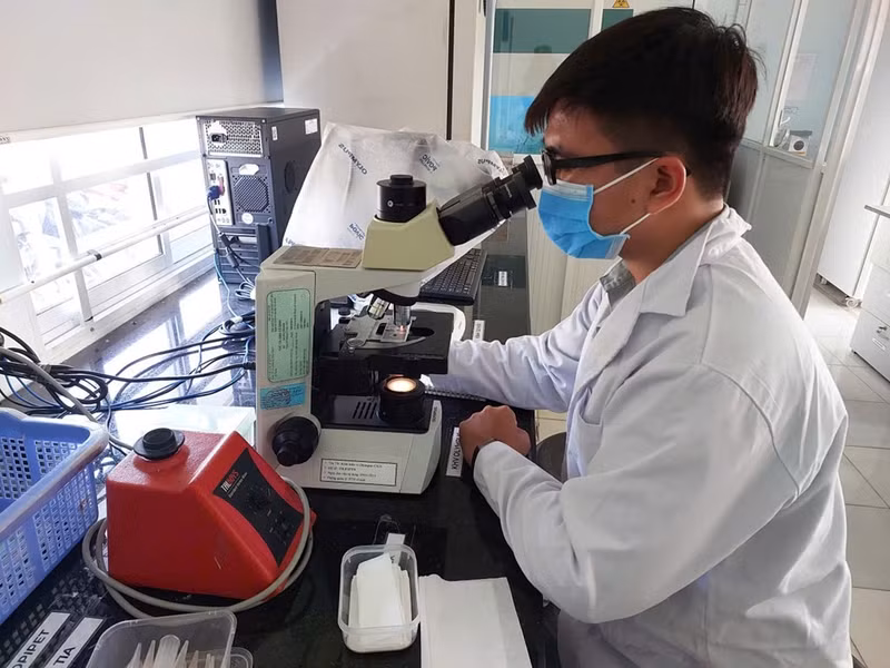 Actividad de investigación científica. (Foto: VNA)
