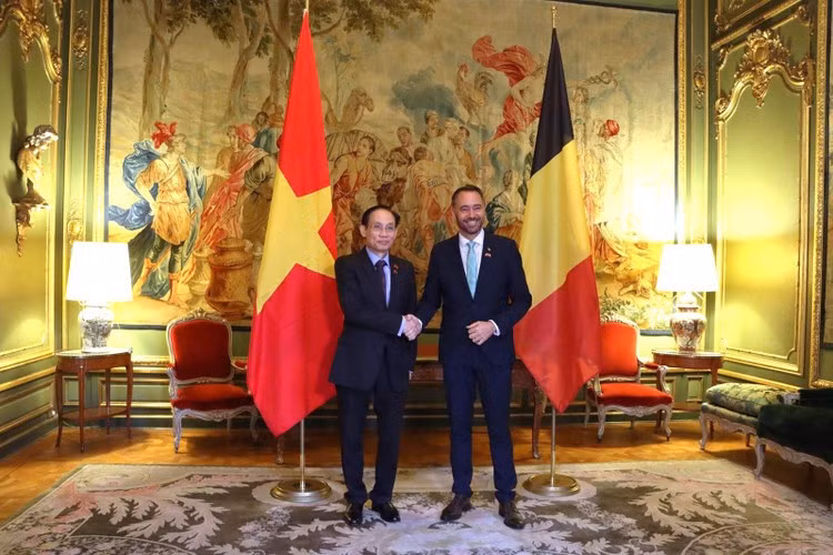 El ministro de Relaciones Exteriores de Vietnam, Le Hoai Trung, se reúne con el viceprimer ministro y titular de Relaciones Exteriores de Bélgica, Maxime Prévot. (Foto: Ministerio de Relaciones Exteriores de Vietnam)