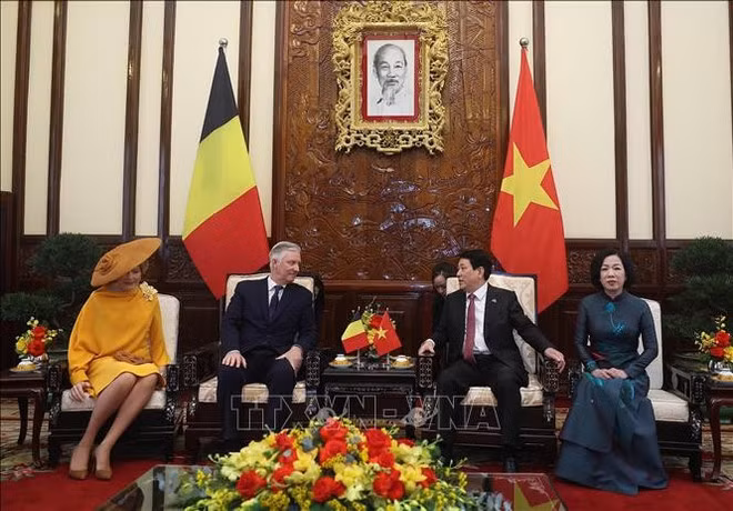 El presidente de Vietnam, Luong Cuong, y el rey Felipe de Bélgica en una reunión a puerta cerrada. (Foto: VNA)