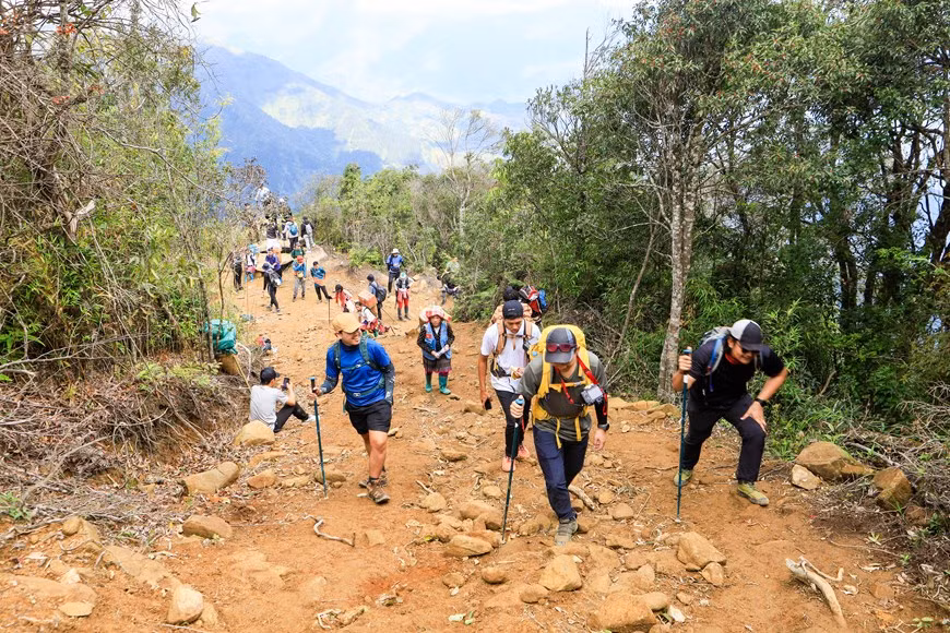 Un grupo de viajeros tailandeses en el camino para conquistar la cima Ta Xua. (Fuente: VNA) Un grupo de viajeros tailandeses en el camino para conquistar la cima Ta Xua. (Fuente: VNA)