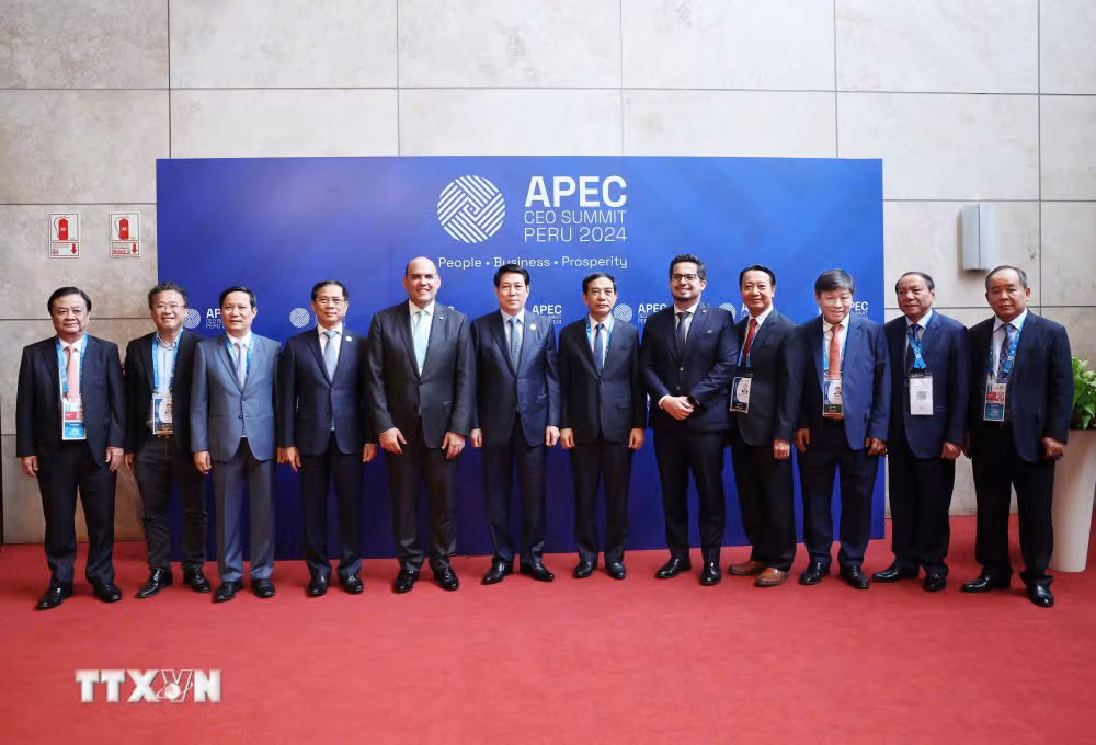 El presidente vietnamita, Luong Cuong, y los delegados a la Cumbre de CEO de APEC. (Foto: VNA)