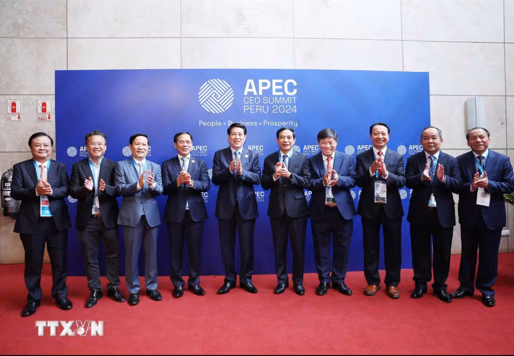 El Consejo Asesor Empresarial de APEC (ABAC) Vietnam da la bienvenida al presidente Luong Cuong y a los delegados. (Foto: VNA)