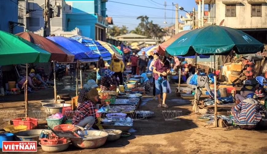 El mercado de pescado de Lang Nai, ubicado al lado de la laguna, es conocido por sus mariscos frescos a precio asequible. (Fotografía: VNA)