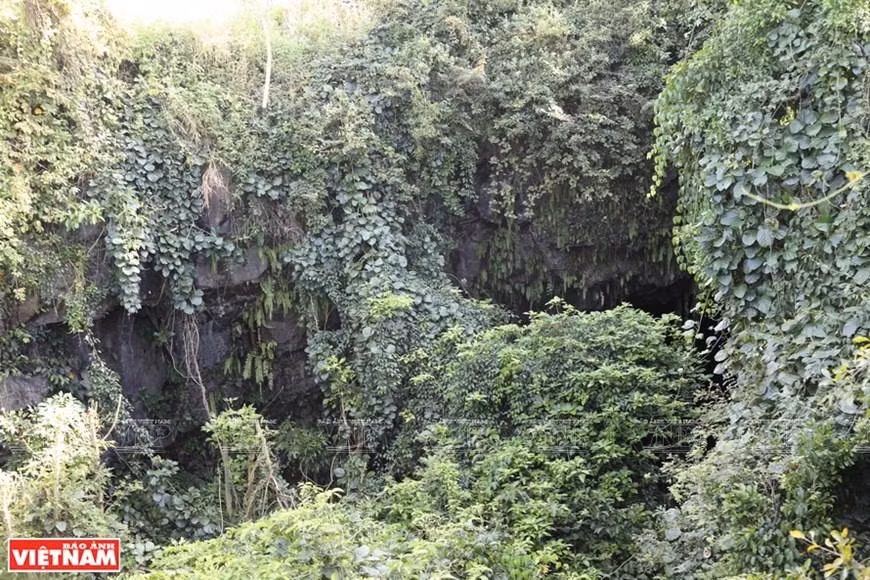 El cráter de la cueva volcánica C8, que pertenece al complejo de cuevas volcánicas Chu B'luk, es un acantilado vertical. (Fotografía: VNA)