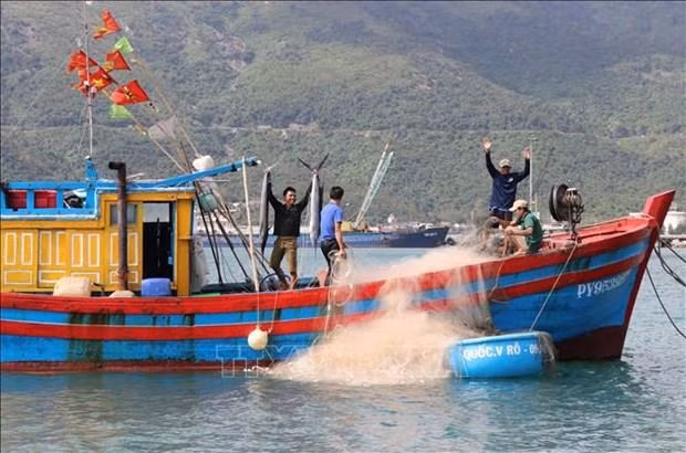 Vietnam necesita más esfuerzos de la comunidad pesquera en el combate a la pesca ilegal. (Fotografía: VNA) Vietnam necesita más esfuerzos de la comunidad pesquera en el combate a la pesca ilegal. (Fotografía: VNA)