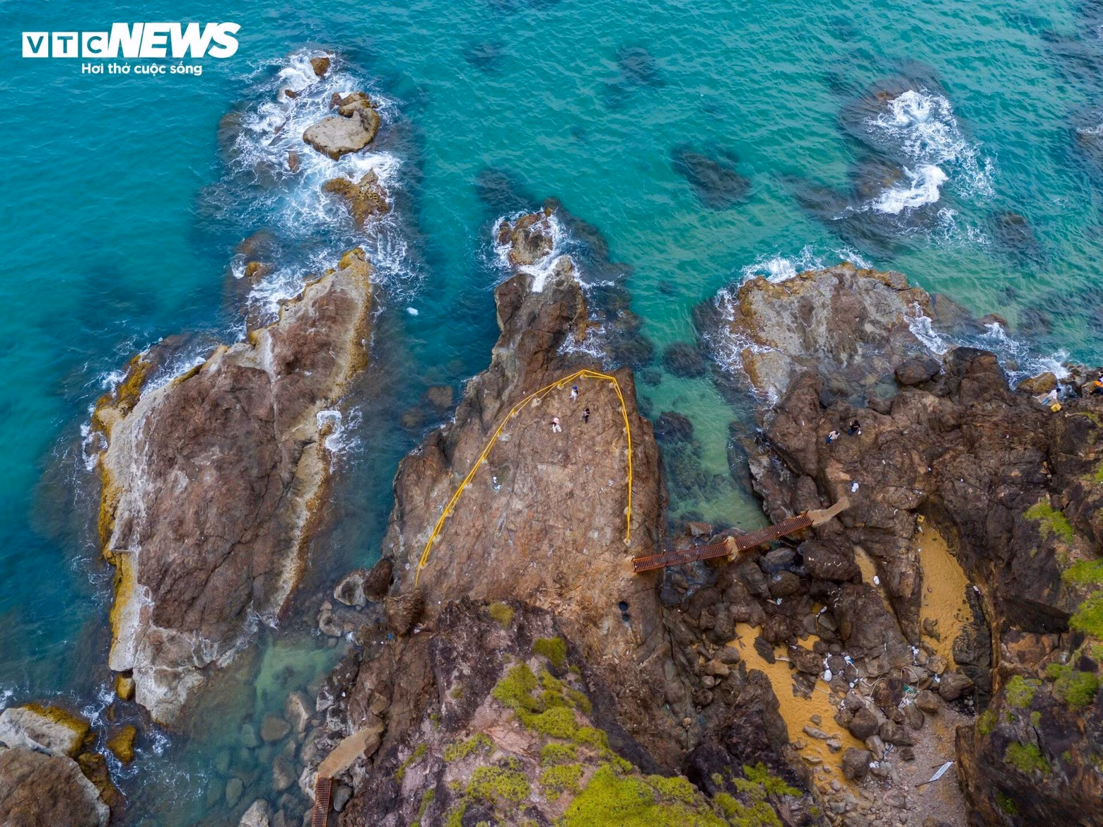 La aparición de ballenas en las aguas de Hoai Hai consolida la confianza de los pueblos pesqueros locales en el desarrollo del turismo comunitario.