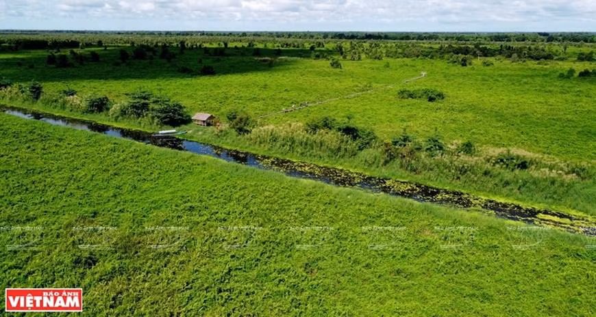 El Parque Nacional U Minh Thuong posee una vasta riqueza en su flora y fauna. (Fotografía: VNA)