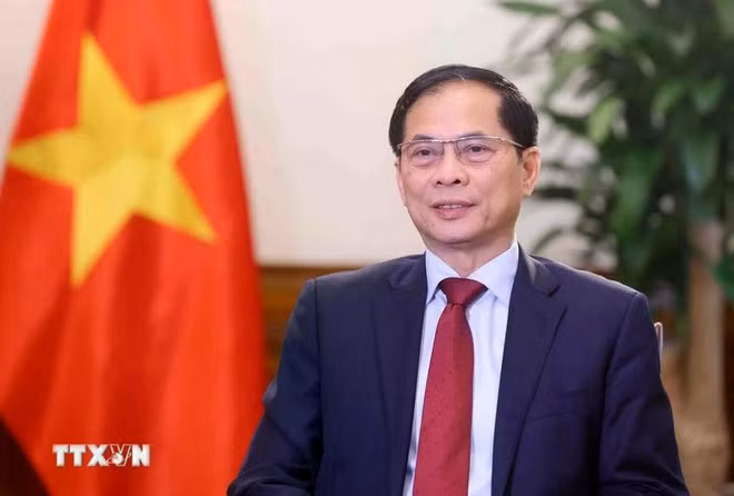 El viceprimer ministro y canciller de Vietnam, Bui Thanh Son. (Foto: VNA)