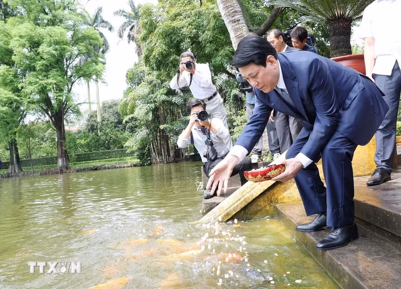 Luong Cuong alimenta a los peces en el estanque de peces del Tío Ho en la zona de reliquias.