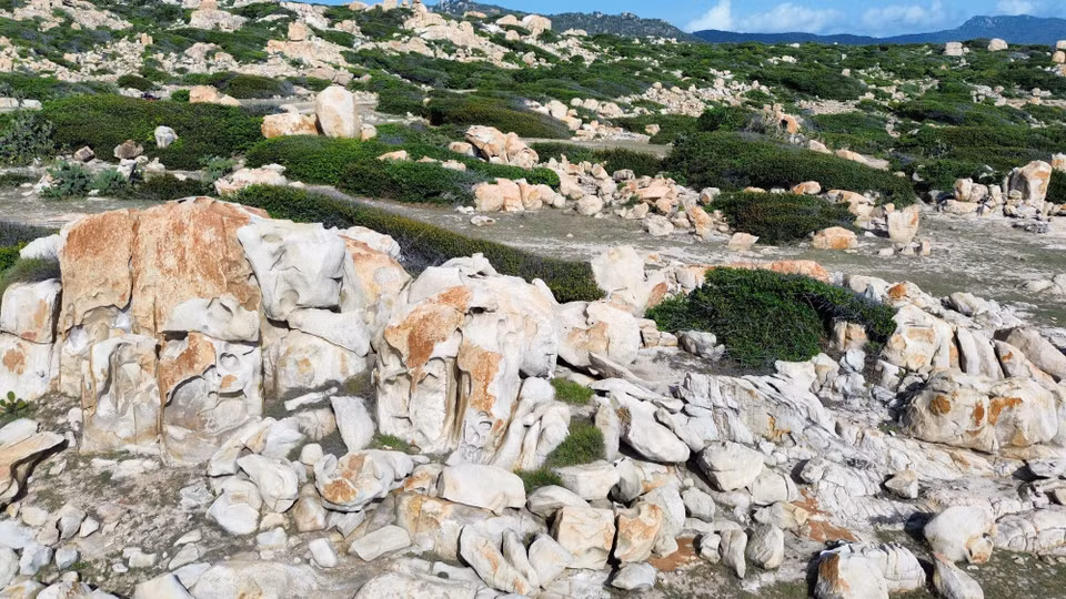 El parque de piedras tiene un ecosistema de bosque seco y montaña rocosa costera típico del Parque Nacional Nui Chua.