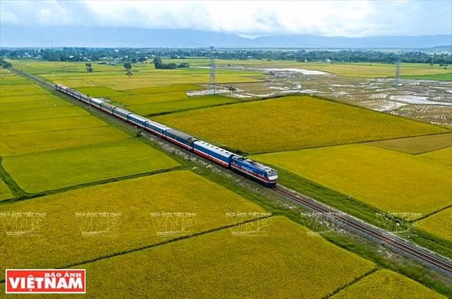 En el ferrocarril, los viajeros pueden contemplar campos dorados de arroz.