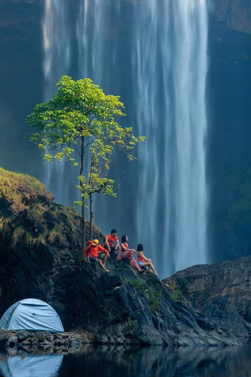 Quienes desean desafiarse a sí mismos, pueden practicar el trekking y realizar caminatas por los senderos del bosque.