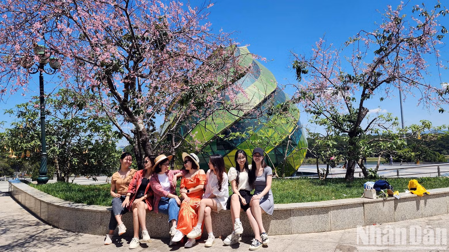 Junto con los pobladores de Da Lat, en las calles llenas de las flores color rosa púrpura y en muchos espacios públicos de la ciudad de las Tierras Altas, numerosos turistas disfrutan tomando fotografías de recuerdo. Junto con los pobladores de Da Lat, en las calles llenas de las flores color rosa púrpura y en muchos espacios públicos de la ciudad de las Tierras Altas, numerosos turistas disfrutan tomando fotografías de recuerdo.