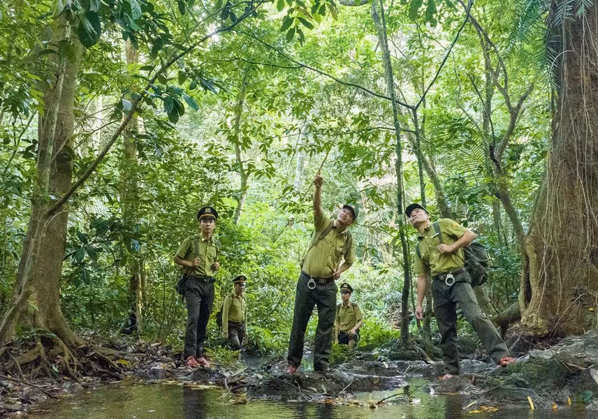 Se realiza la patrulla en el parque nacional Cuc Phuong.