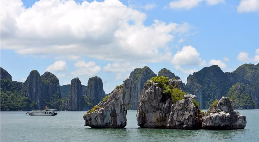 La parte trasera de la isla de Trong Mai luce como un pez.