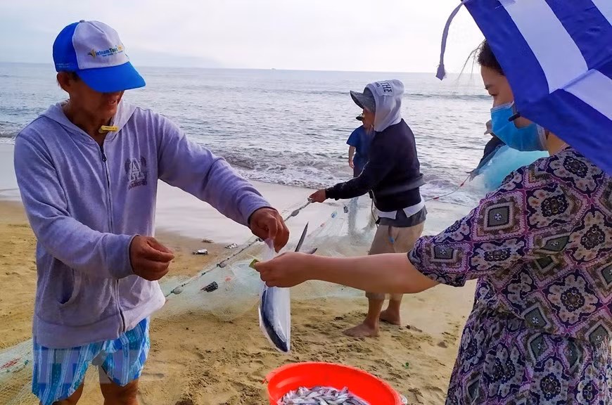 Residentes y visitantes prefieren comprar los peces recién capturados.