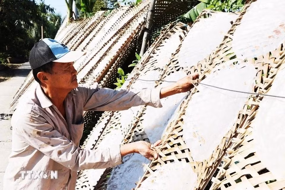 Huynh Van Cuoi de la aldea de Hau Thuan, comuna de Hau Thanh, revisa el producto terminado. Huynh Van Cuoi de la aldea de Hau Thuan, comuna de Hau Thanh, revisa el producto terminado.