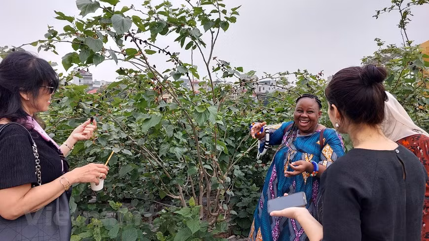 Las asistentes prueban el sabor agridulce de las moras.