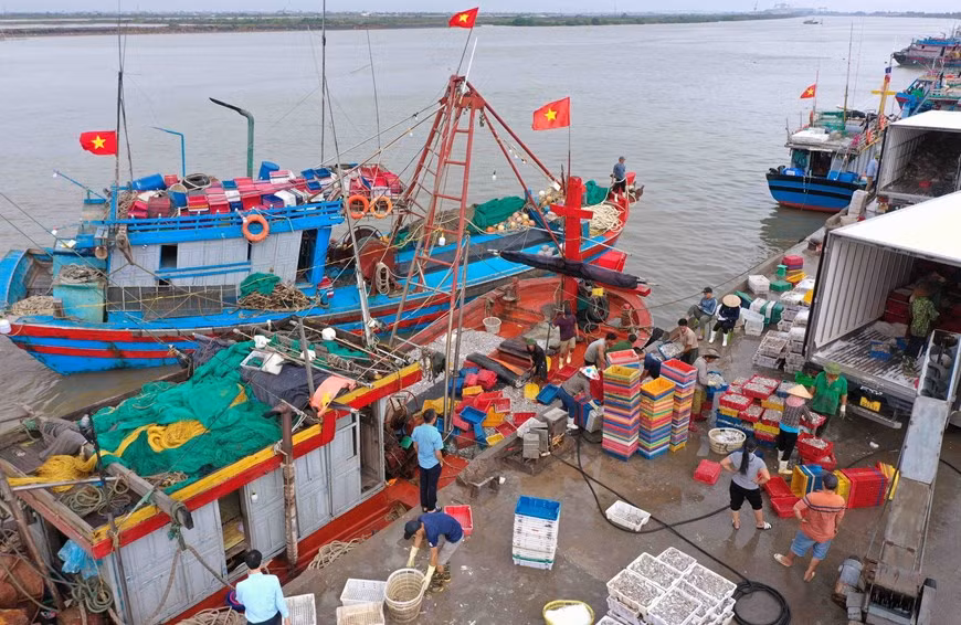 La certificación de salida y trazabilidad de los productos acuáticos provenientes de la explotación se realiza de acuerdo con lo establecido en la Ley de la Pesca.