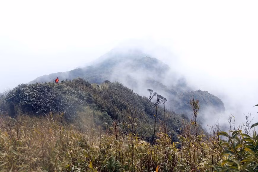 A una altitud de más de tres mil metros, la cordillera de Bach Moc Luong Tu a menudo está cubierta por nubes, creando una escena misteriosa y fantasiosa.