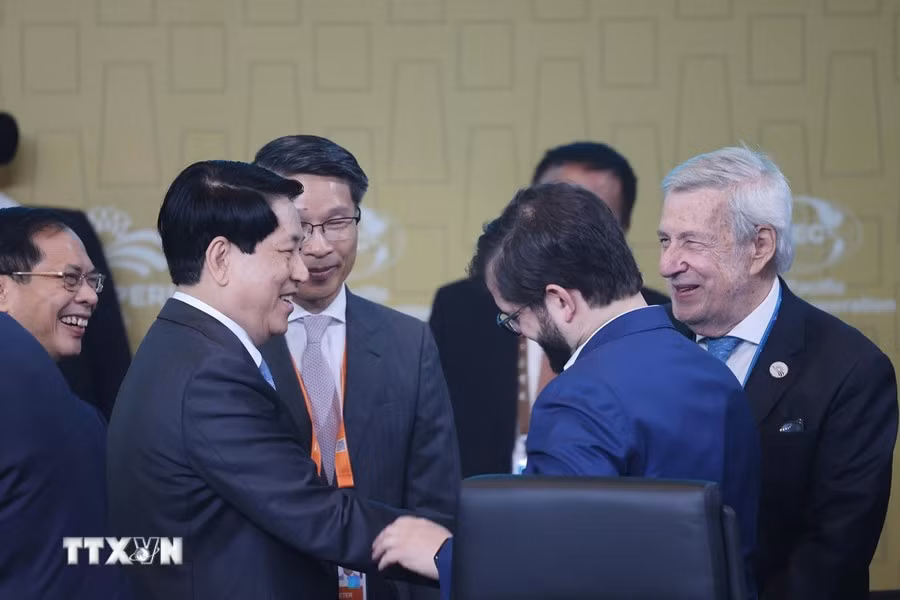 El presidente Luong Cuong y otros delegados en la cita.