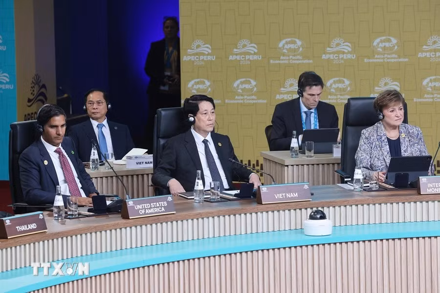 Luong Cuong y otros dirigentes en la Cumbre APEC. Luong Cuong y otros dirigentes en la Cumbre APEC.