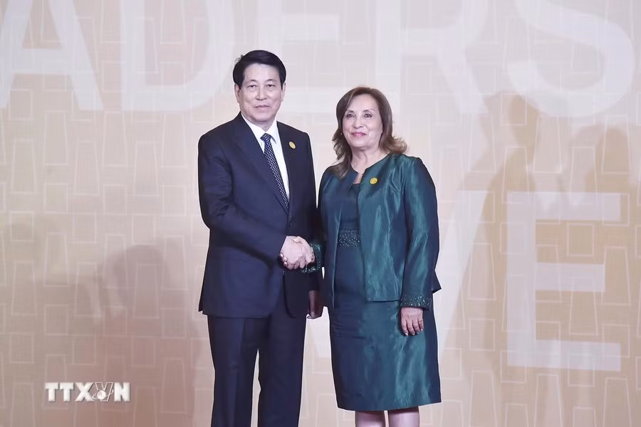 Luong Cuong y su par peruana, Dina Ercilia Boluarte Zegarra. Luong Cuong y su par peruana, Dina Ercilia Boluarte Zegarra.