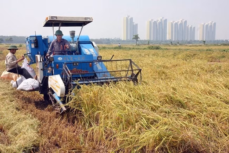 Mecanización sincrónica en la producción agrícola permite la reducción de costos y el aumento de la productividad laboral de acuerdo con los criterios de construcción de un nuevo campo rural en la comuna de Da Ton, distrito de Gia Lam.