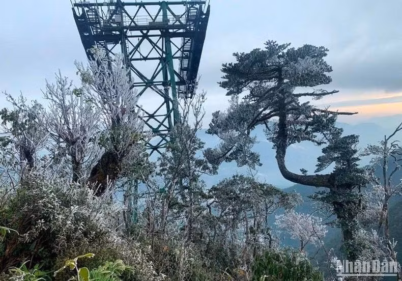 El camino escarchado hacia el pico en el teleférico.