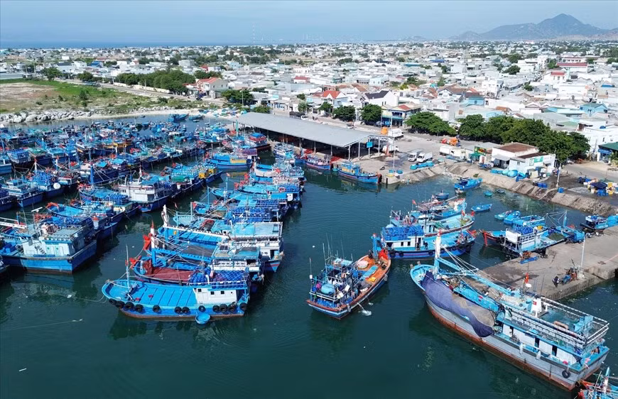 La comuna de Thanh Hai, distrito de Ninh Hai, invierte de forma sincrónica en el puerto pesquero de My Tan, para cumplir con los requisitos de desarrollo económico marino local. La comuna de Thanh Hai, distrito de Ninh Hai, invierte de forma sincrónica en el puerto pesquero de My Tan, para cumplir con los requisitos de desarrollo económico marino local.