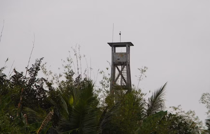 Se garantiza la operación efectiva del sistema de cámaras en la torre de vigilancia en la reserva natural de Lung Ngoc Hoang, en la comuna de Phuong Binh, del distrito de Phung Hiep, de la provincia sureña de Hau Giang.