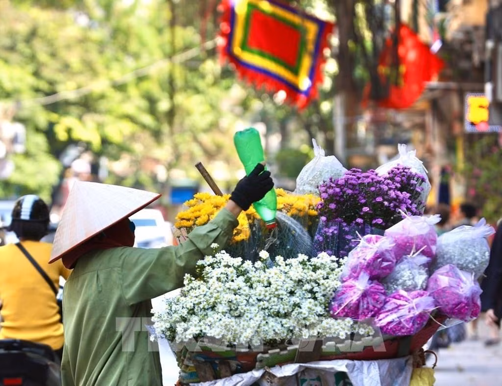 Diversas flores en las calles.