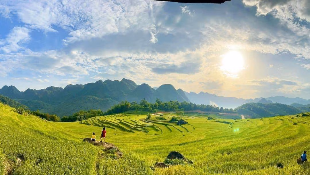 Pu Luong en la temporada de arroz dorado.