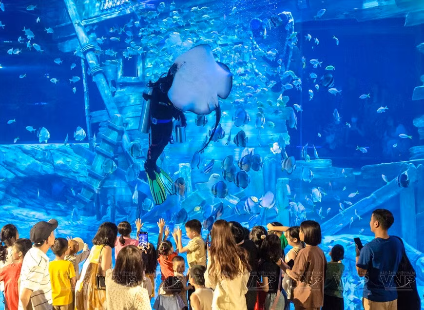 Muchas familias eligen el acuario como lugar para divertirse los fines de semana. Muchas familias eligen el acuario como lugar para divertirse los fines de semana.