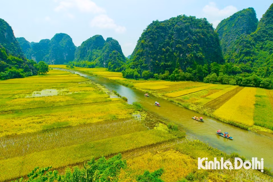 La zona turística de Tam Coc-Trang An acoge un considerable número de visitantes durante esta temporada. La zona turística de Tam Coc-Trang An acoge un considerable número de visitantes durante esta temporada.