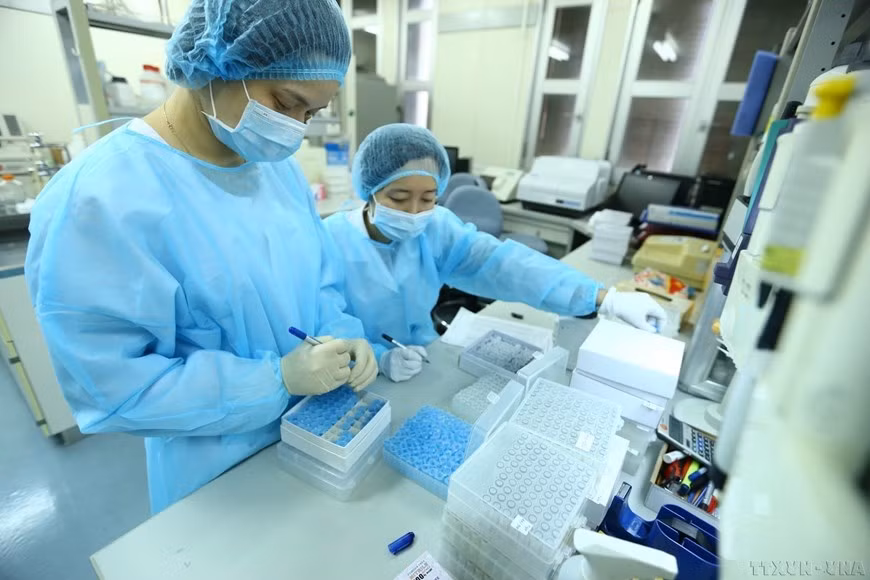Un grupo de científicas del Instituto Nacional de Higiene y Epidemiología ha aislado con éxito la nueva cepa del virus corona (SARS-CoV-2), convirtiendo a Vietnam en uno de los primeros cuatro países que cumplen con éxito esa tarea. Un grupo de científicas del Instituto Nacional de Higiene y Epidemiología ha aislado con éxito la nueva cepa del virus corona (SARS-CoV-2), convirtiendo a Vietnam en uno de los primeros cuatro países que cumplen con éxito esa tarea.