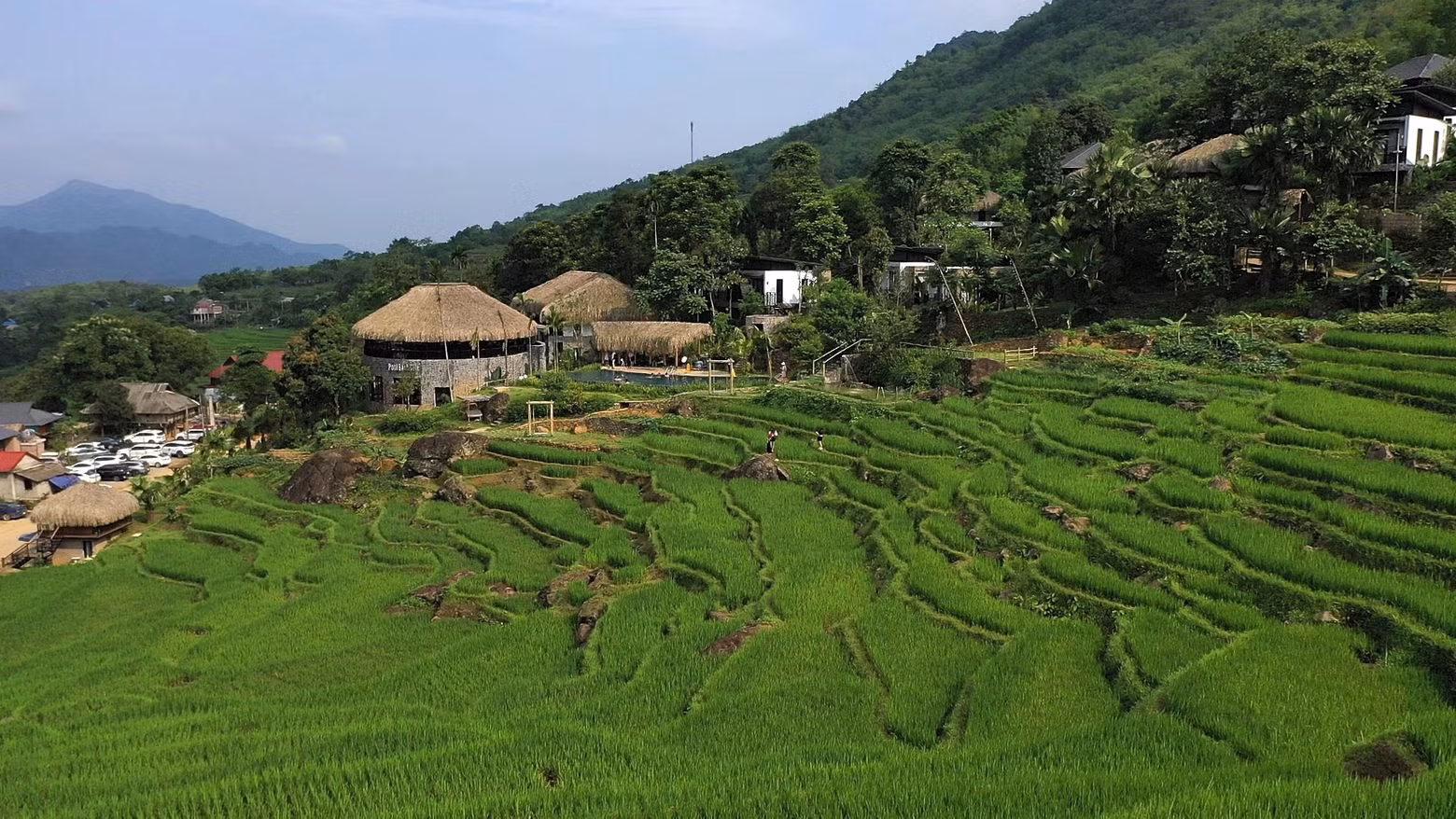 Con más de 17,7 mil hectáreas, Pu Luong es famosa por sus bosques, arroyos, cascadas, cuevas y montañas, junto a las aldeas y terrazas de arroz.