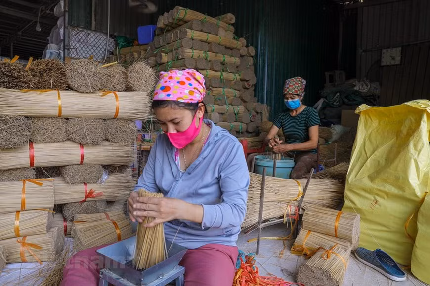 Como las varillas de incienso están hechas de bambú, los aldeanos de Quang Phu Cau consumen alrededor de 200 toneladas de ese material al día, que en su mayoría se transportan desde las provincias de Bac Kan, Lang Son, Thai Nguyen, en el norte, y Thanh Hoa, en el centro. Cada se aproxima el año nuevo lunar, los poblares de Quang Phu Cau trabajan al máximo para atender a la creciente demanda proveniente de todas las regiones del país. Desde un trabajo a tiempo parcial, el oficio ahora genera ingresos para casi tres mil hogares, lo que representa alrededor del 70 por ciento del total de familiares en la comuna.