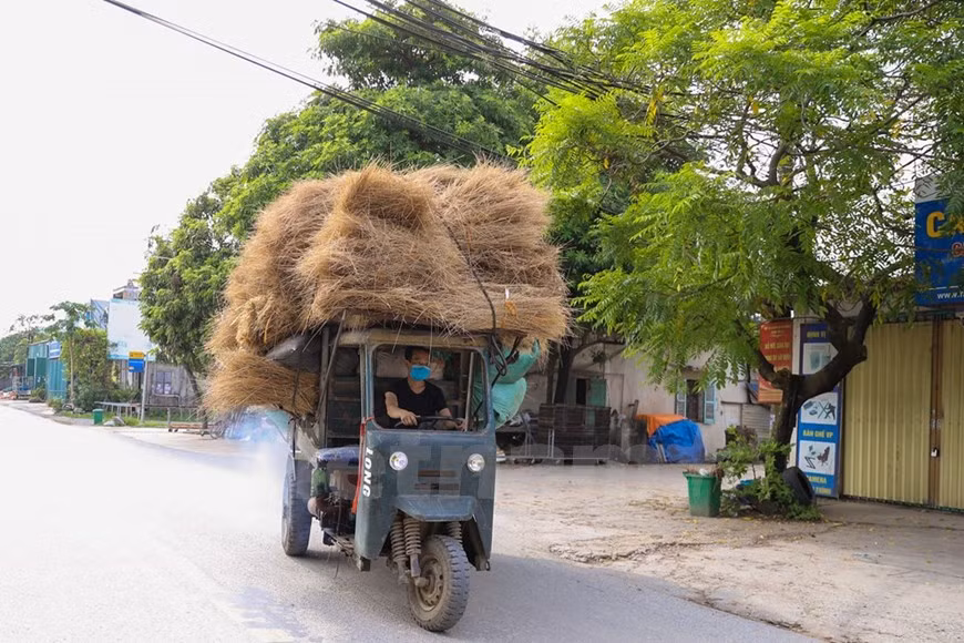 Las varillas de incienso de Quang Phu Cau no solo son preferidas por los clientes nacionales, sino también se exportan a muchos países. A pesar de muchos altibajos, el trabajo de hacer inciensos ha ayudado a que la vida de los pobladores locales mejore significativamente.