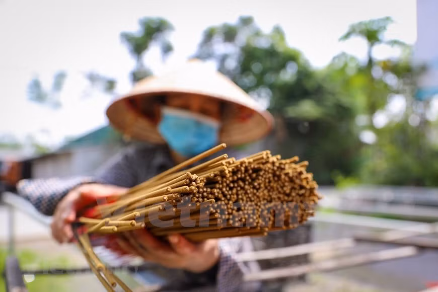 El año nuevo lunar es la temporada más ocupada de los residentes de la aldea de Quang Phu Cau. Para esto los trabajadores se esfuerzan mucho secando y reduciendo la corteza del bambú y troceando los tablones en una máquina de trituración, otros sumergen las tiras finas en baldes de tinte rosado. Luego de esto, las mujeres que usan mascarillas de tela cubren los palitos secos con pasta de incienso aromático antes de enrojecerlos y enviarlos para el embalaje. Además de utilizarse en ceremonias y ritos religiosos y festivos, el incienso es un elemento habitual en el interior de las casas, donde se suelen celebrar ceremonias para rendir homenaje a los ancestros, una práctica que todavía conserva una gran importancia moral y social en Vietnam.