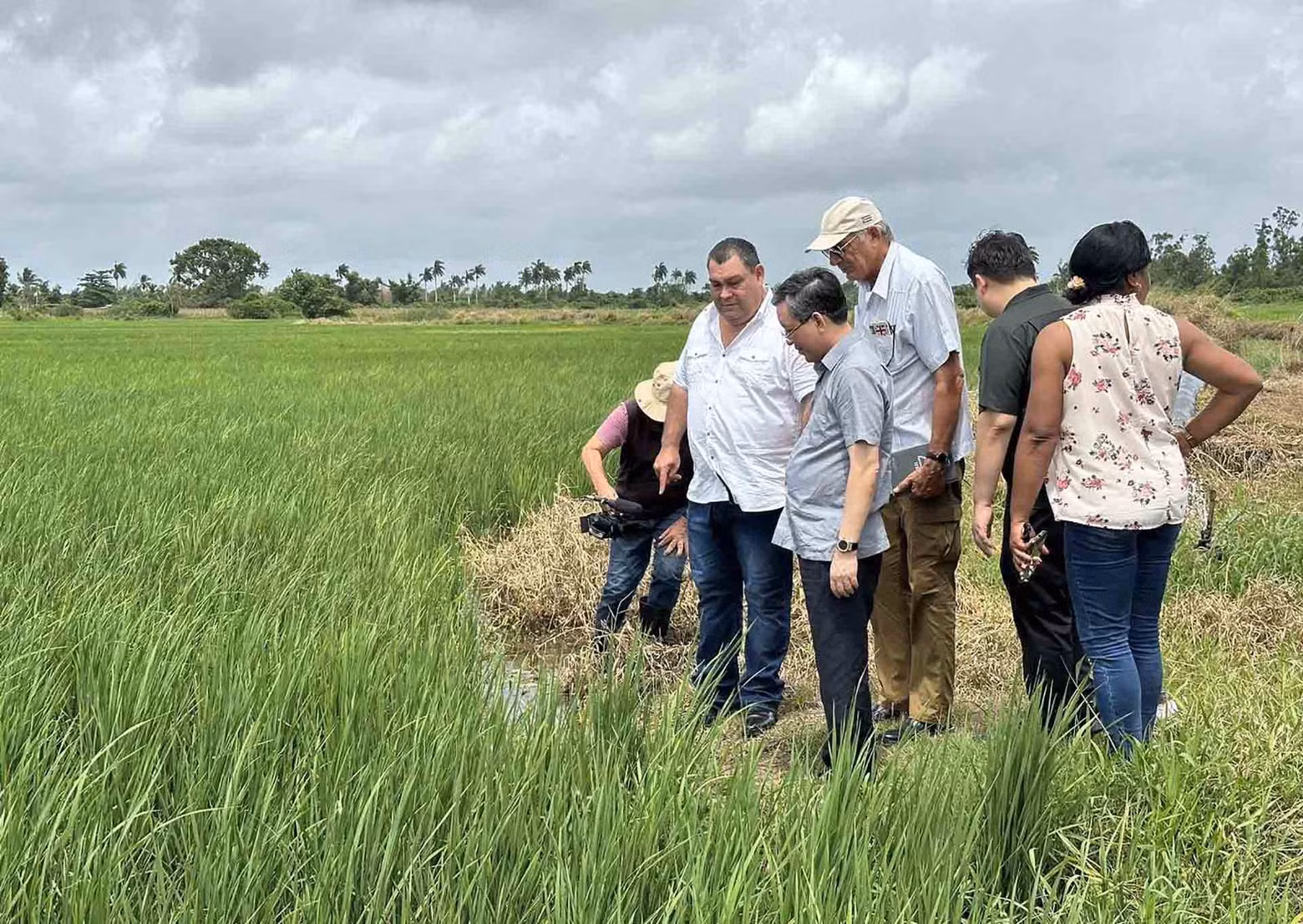La delegación vietnamita visita una cooperativa en Pinar del Río. (Fotografía: baoquocte.vn)