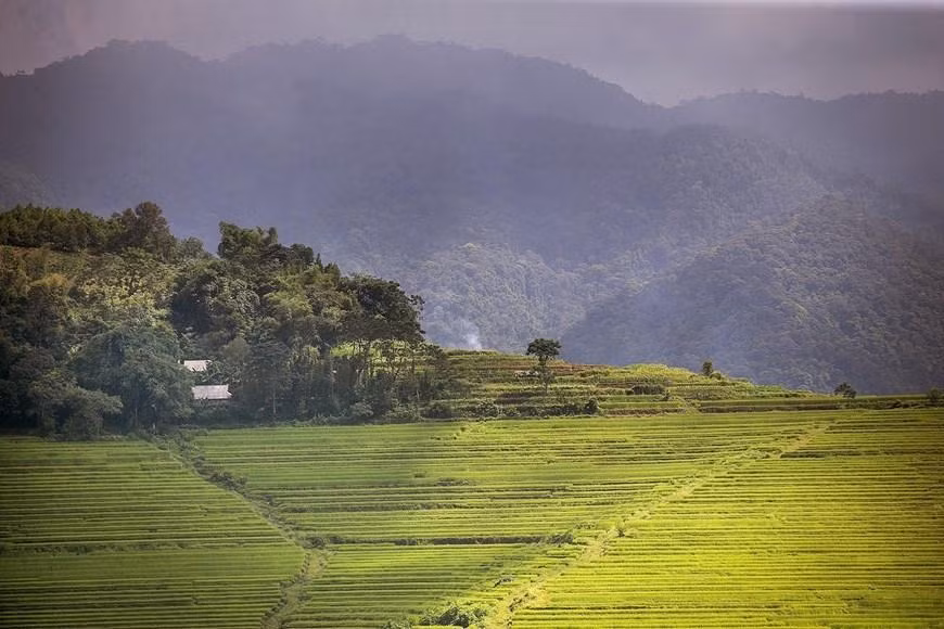 Hermosas terrazas de arroz en la comuna de Mien Doi, en el distrito de Lac Son, provincia de Hoa Binh. (Fotografía: VNA)