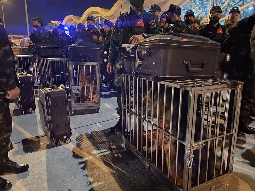 Miembros de la fuerza de rescate llevan equipos y perros de servicio para las labores de salvamento.