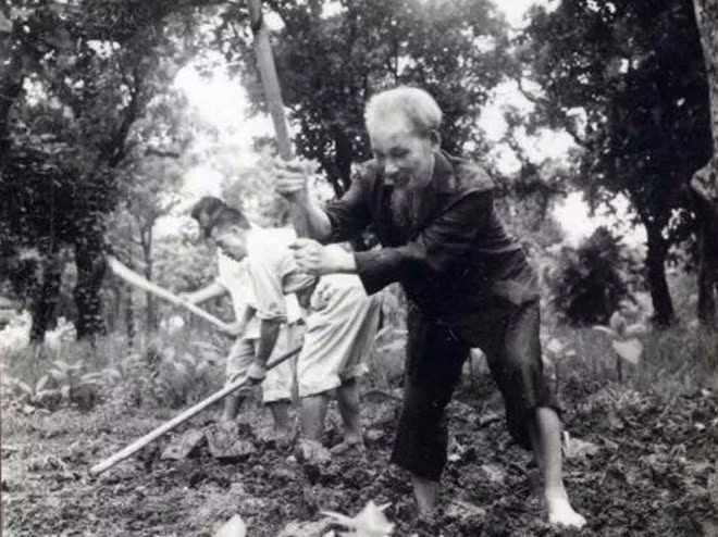 El Tío Ho aró la tierra y plantó verduras en el jardín del Palacio Presidencial (1957).