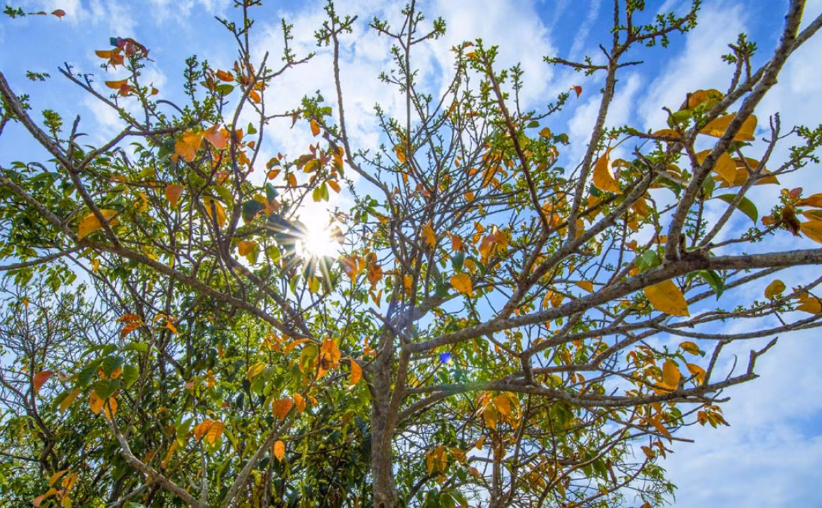 El remanso de paz en Ru Cha representa una armonía de flora, firmamento, nubes y aguas.