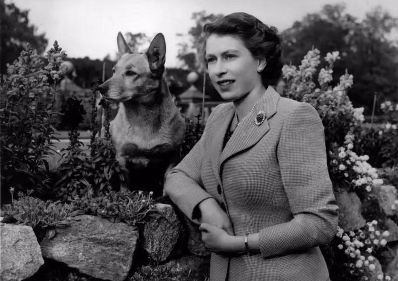 La futura reina posa en el recinto del Castillo de Balmoral, en Escocia, en 1952. (Fotografía: Getty Images)
